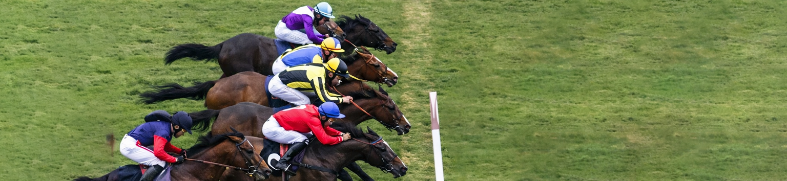 AI予測との比較による検証結果です。